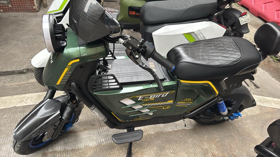 E-Bird Pro High-Performance Electric Motorcycle – 100km Long-Range Lithium Battery, [Watts]W Brushless Motor, Dual Hydraulic Disc Brakes, and Smart NFC/Bluetooth Integration